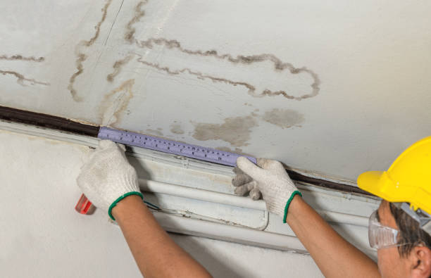 Reliable Mold Remediation contractor in Holly Springs, MS by Water Damage Irwin
